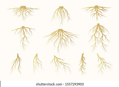 Set of golden tree roots silhouettes. Vector isolated Illustration in gold colors.