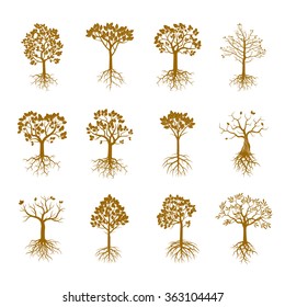 Set of Golden Trees and Roots