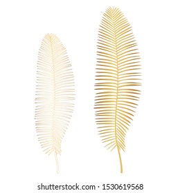 Set of golden tropical leaf isolated on white background.