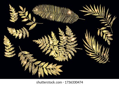 Set of golden tropical leaves for decor