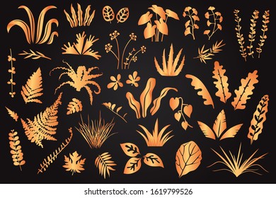Set of golden tropical plants on a black background. Vector illustration. Design elements. Solemn decorations