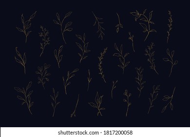 Conjunto de elementos de diseño floral vectorial dorado. Ilustración vectorial de elementos de decoración
