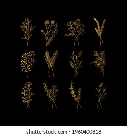Set of golden vector floral design elements. Decoration elements for invitation, wedding cards, valentines day, wall art, greeting cards. Hand draw vector design elements. Vector EPS10.