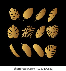 Set of golden vector floral design elements. Decoration elements for invitation, wedding cards, valentines day, wall art, greeting cards. Hand draw vector design elements. Vector EPS10.