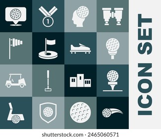 Set Golf ball, on tee, hole with flag, label and shoe icon. Vector