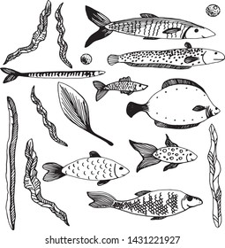 A set of good fish and algae for your design.