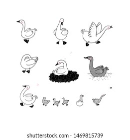 Set with Goose and ducks, nest and eggs. Farm animals. 