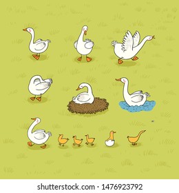 Set with Goose and ducks, nest and eggs. Farm animals.