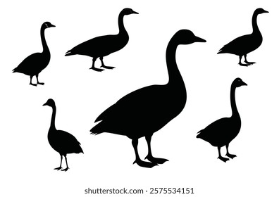 A set of goose silhouette vector icon. Natural pheasant bird, duck domestinc wild animal.