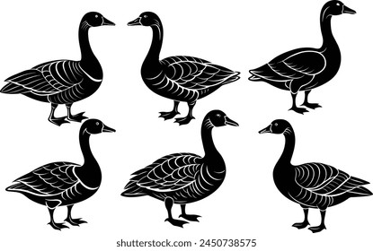 Set von Gänse-Silhouette-Vektorillustration