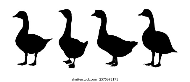 Set of goose silhouette - vector illustration