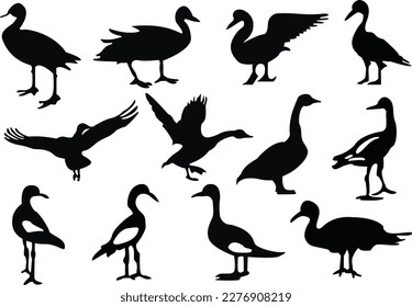 Set of goose silhouettes. A set of goose silhouette vector illustrations.