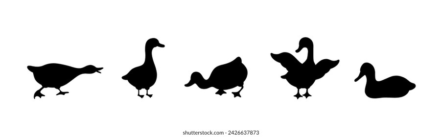 Set of gooses silhouette. Domestic and wild ducks on white background. Agriculture birds on farm. Rural wildlife. Hand drawn print. Vector illustration in flat style.