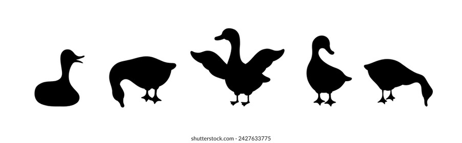 Set of gooses silhouette. Domestic and wild ducks on white background. Agriculture birds on farm. Rural wildlife. Hand drawn print. Vector illustration in flat style.