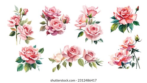 Set of Gorgeous Pink roses compositions. Watercolor illustrations isolated on white background. Floral design elements, corner, border, arrangement for cards, invitations. June birth month flowers