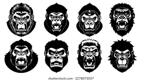 Set of gorilla heads with open mouth and bared fangs, with different angry expressions of the muzzle. Symbols for tattoo, emblem or logo, isolated on a white background.