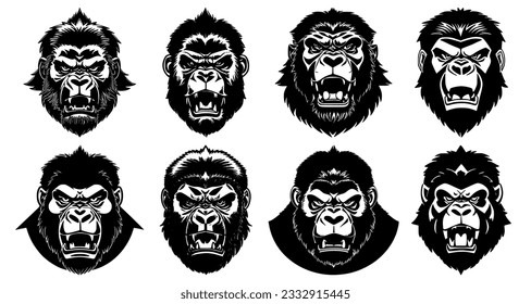 Set of gorilla heads with open mouth and bared fangs, with different angry expressions of the muzzle. Symbols for tattoo, emblem or logo, isolated on a white background.