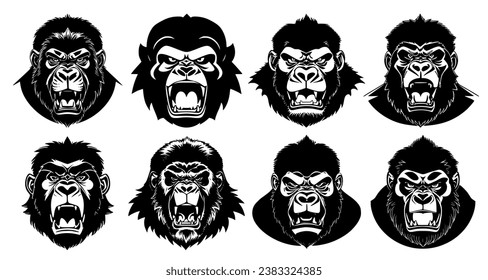 Set of gorilla heads with open mouth and bared fangs, with different angry expressions of the muzzle. Symbols for tattoo, emblem or logo, isolated on a white background.