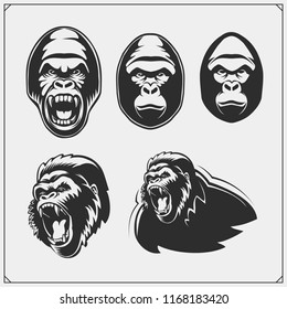 Set of gorilla heads. Vector monochrome illustration.