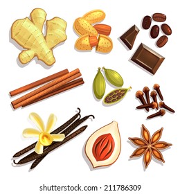 Set of Gourmet Coffee Spices. Vector illustration, eps10.
