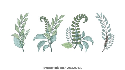 Eine Reihe von anmutigen Sträuchern verschiedener Waldkräuter, grüne Zweige von Pflanzen mit Blättern, Elemente für ein Hochzeitskartendesign. Vektorgrafik einzeln auf weißem Hintergrund.