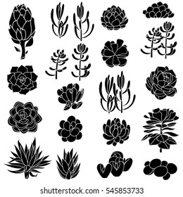 Set of gradient black succulents and artichokes leaves and petals. Isolated black silhouettes of succulents. Vector illustration