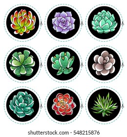 Set of gradient colored succulents and artichokes leaves and petals. Stickers with succulents. Vector illustration