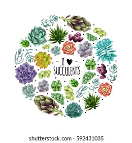 Set of gradient colored succulents and artichokes leaves and petals. Isolated colored succulents. Vector illustration