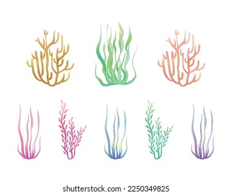 Set of Gradient Seaweeds Coral Underwater Pastel Watercolor Graphics 02