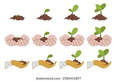 Set with gradual plant growth. Scheme from sprout to adult plant. Botanical vector illustration isolated on white background