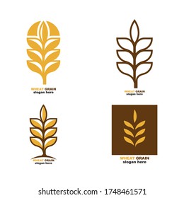 Set of Grain wheat Logo Template vector icon design,
