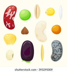 Set grains of different plants, raw materials for cereal, vector set