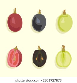 A set of grape berries whole and cut. Grapes black, red and green. Fruit icons in vector.