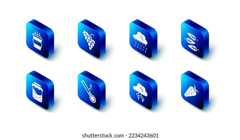 Set Grape fruit, Cloud with rain, Leaf or leaves, Carrot, Storm, Meteorology thermometer, Jam jar and Coffee cup go icon. Vector