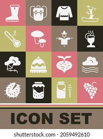 Set Grape fruit, Windy weather, Mulled wine, Sweater, Mushroom, Meteorology thermometer, Waterproof rubber boot and Scarecrow icon. Vector