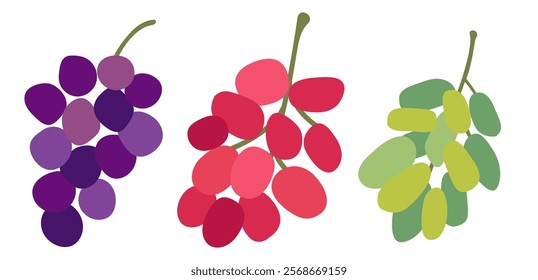 Set Grape Icons Food Fruits, bunches of grapes icons editable stroke, flat design style isolated on white. Flat vector red, green, blue grapes branch logo. 