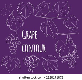 Set of grape with leaves, linear, outline only, no fill. Vector graphics