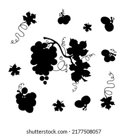 Set of grape silhouettes. On a white background. Grape design. Vector illustration of grape berries, branch leaves.