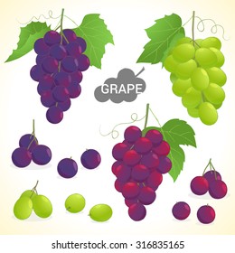 Set of grape in various styles vector format