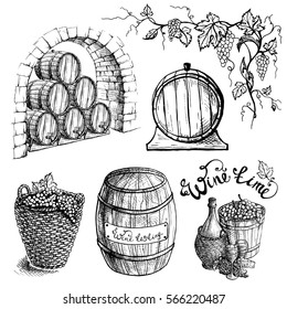 Set of grape and wine barrels in graphic style hand-drawn vector illustration