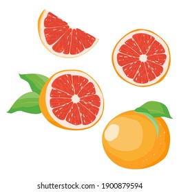 Set of grapefruit sisolated on white background, Vector illustration.