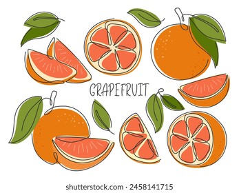 Conjunto de pomelo entero, mitad, rebanada, pieza. Abstractas línea continua dibujada de cítricos tropicales aislados sobre blanco. Piezas de pomelo para el diseño. Ingrediente saludable de vitaminas para limonada, jugo