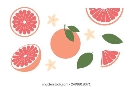 Set of grapefruit. Whole grapefruit with leaves and flowers. Slices and half of fruit. Healthy, organic food. Vector illustration isolated on white background, flat style.