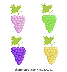 Set with grapes. Four a bunch of different grapes. Vector illustration.