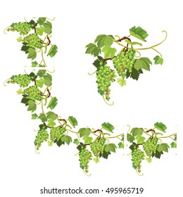 Set of Grapes frame, vignette and repeated element  for wine labels or menu design. Isolated on white background.