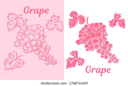Conjunto de uvas aisladas Mano dibujada sobre fondo rosa y blanco. Adecuado para menús. diseño de recetas y postales. Ilustración vectorial.