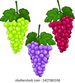 set grapes isolated on white background.