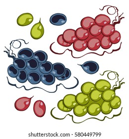 Set of grapes isolated on white background, vector illustration