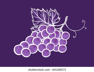 Set of grapes monochrome sketch. Hand drawn grape bunches.