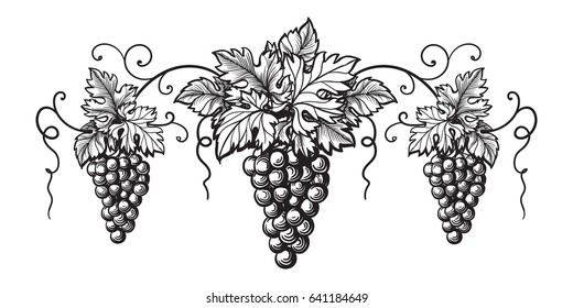 Set of grapes monochrome sketch. Hand drawn grape bunches.